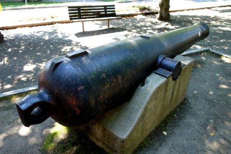Cannon at Saltonstall Plaza - Watertown, MA - DSC03908