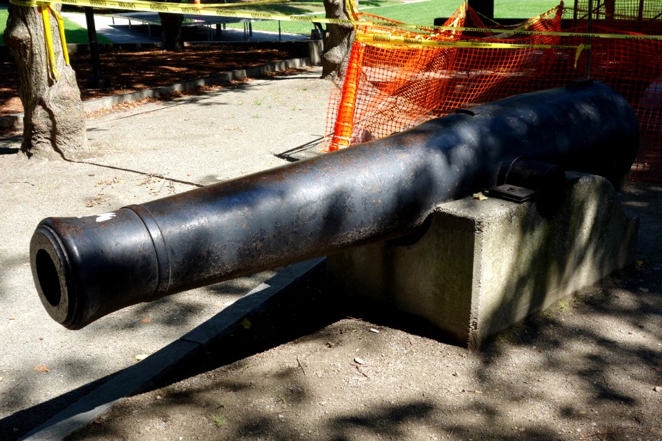 Cannon at Saltonstall Plaza - Watertown, MA - DSC03903
