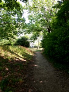 Caluire-et-Cuire - Parc de la Jeunesse (2)
