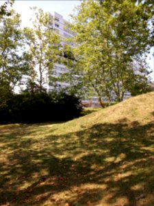 Caluire-et-Cuire - Parc de la Jeunesse, vue sur des traces d'incendie (1)