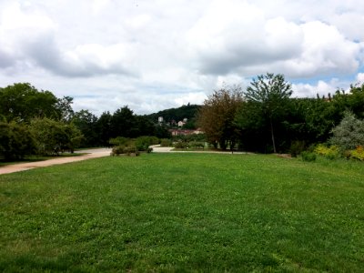 Caluire-et-Cuire - Parc des Berges de Saint-Clair - Pelouse