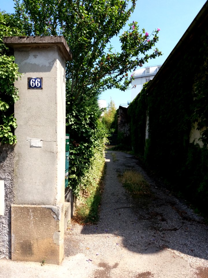 Caluire-et-Cuire - Rue Coste, allée au numéro 66