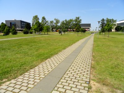 Campus path - Julius-Maximilians-Universität Würzburg - DSC02873