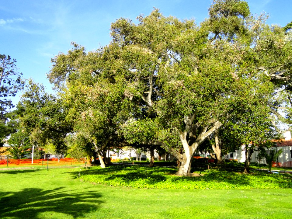 Campus - Naval Postgraduate School - DSC06813