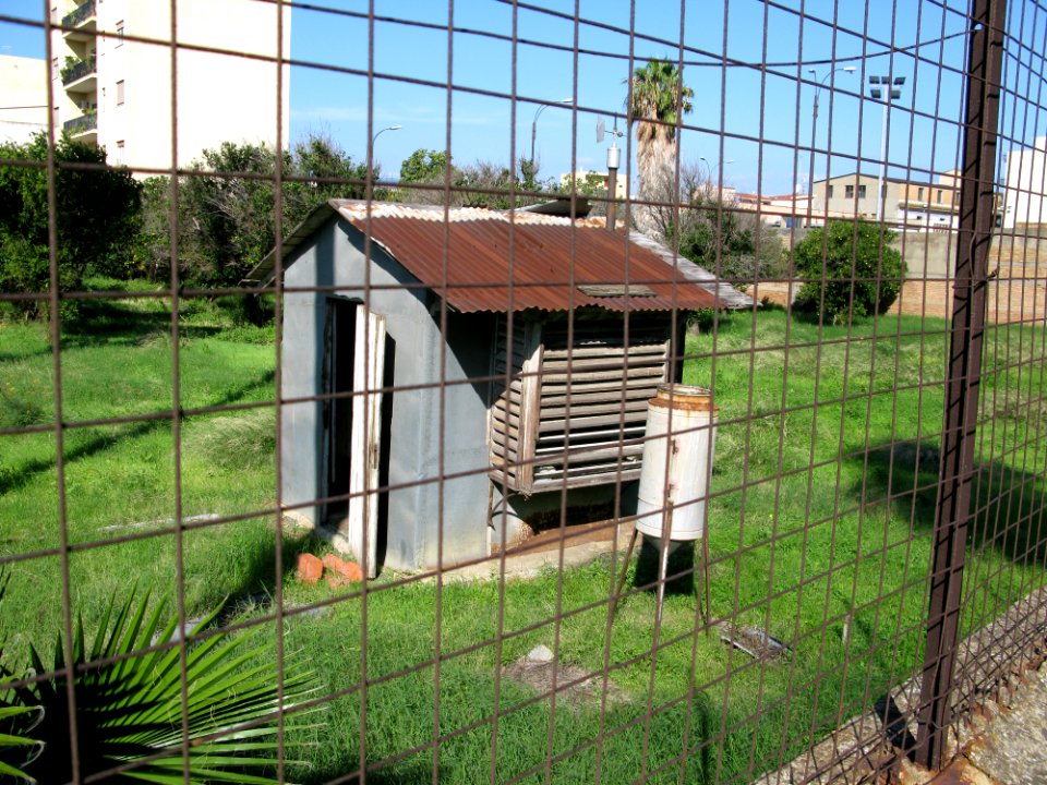 Campo Sperimentale della Stazione Sperimentale Industrie Essenze e Derivati Agrumi (SSEA) - Reggio Calabria, Italy - 7 Oct. 2009 - (8)
