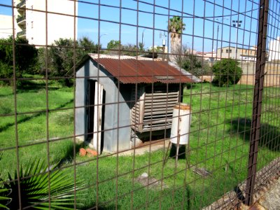 Campo Sperimentale della Stazione Sperimentale Industrie Essenze e Derivati Agrumi (SSEA) - Reggio Calabria, Italy - 7 Oct. 2009 - (8)
