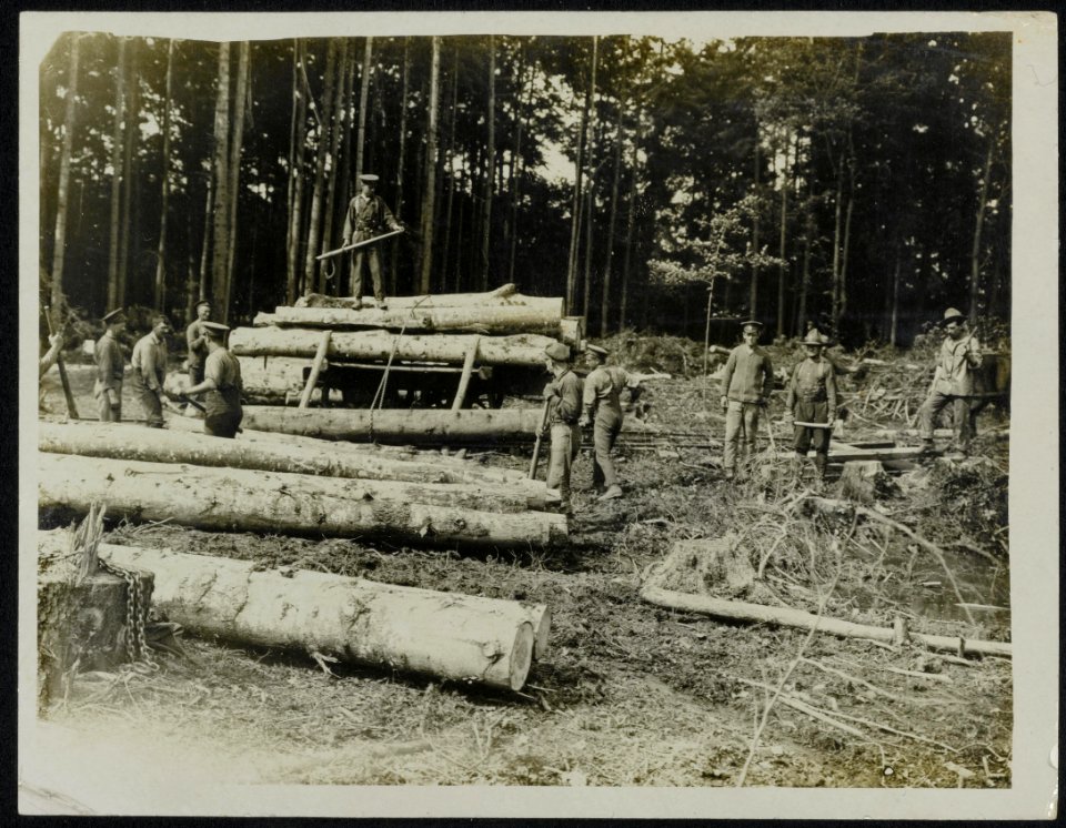 Canadian forestry loading timber, Bestanddeelnr 158-0229