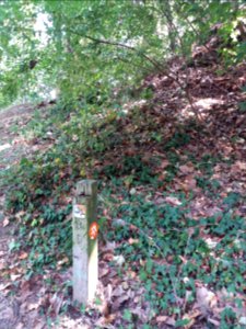 Caluire-et-Cuire - Parc de la Jeunesse (3)