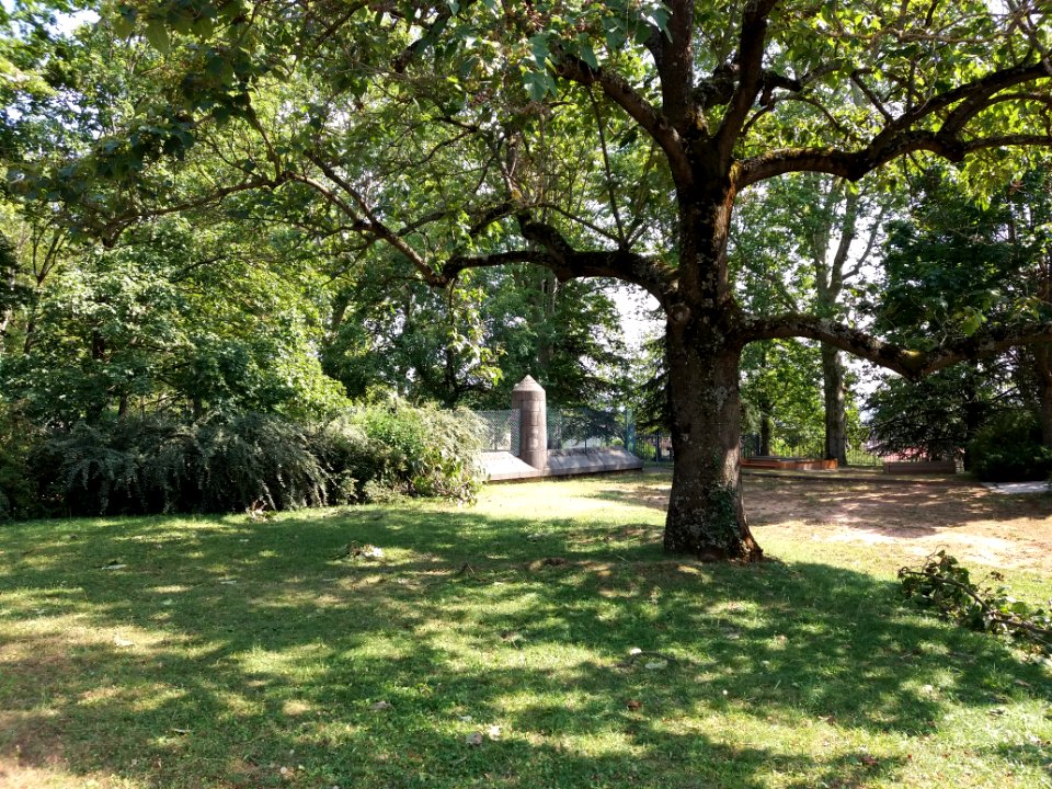 Caluire-et-Cuire - Parc de la Jeunesse (5)