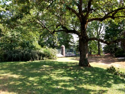 Caluire-et-Cuire - Parc de la Jeunesse (5)
