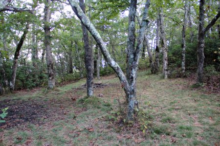 Campsite on Wildcat Mountain, GA Oct 2018