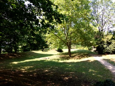 Caluire-et-Cuire - Parc de la Jeunesse (1)