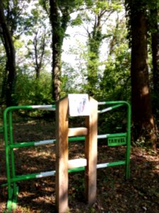 Caluire-et-Cuire - Chemin entre les rues de Margnolles et Abbé Lemire, information sur le pic épeiche