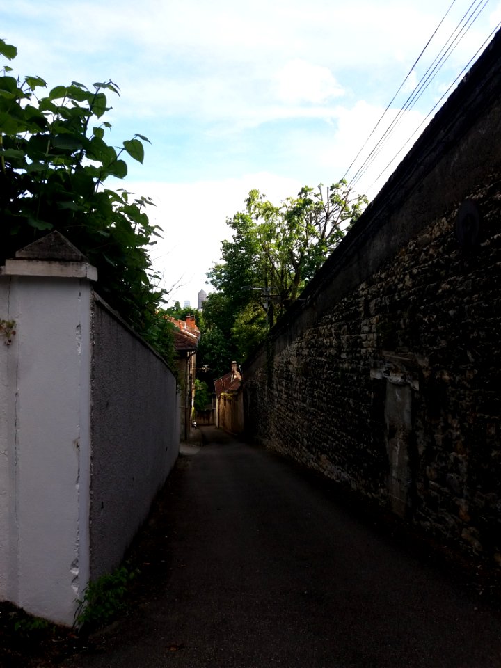 Caluire-et-Cuire - Montée de la Carette - Vue sur les tours de La Part-Dieu