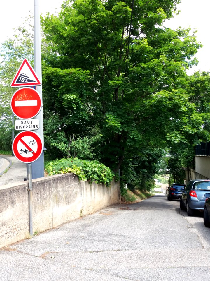 Caluire-et-Cuire - Rue de Margnolles, vers l'est depuis l'avenue Élie Vignal