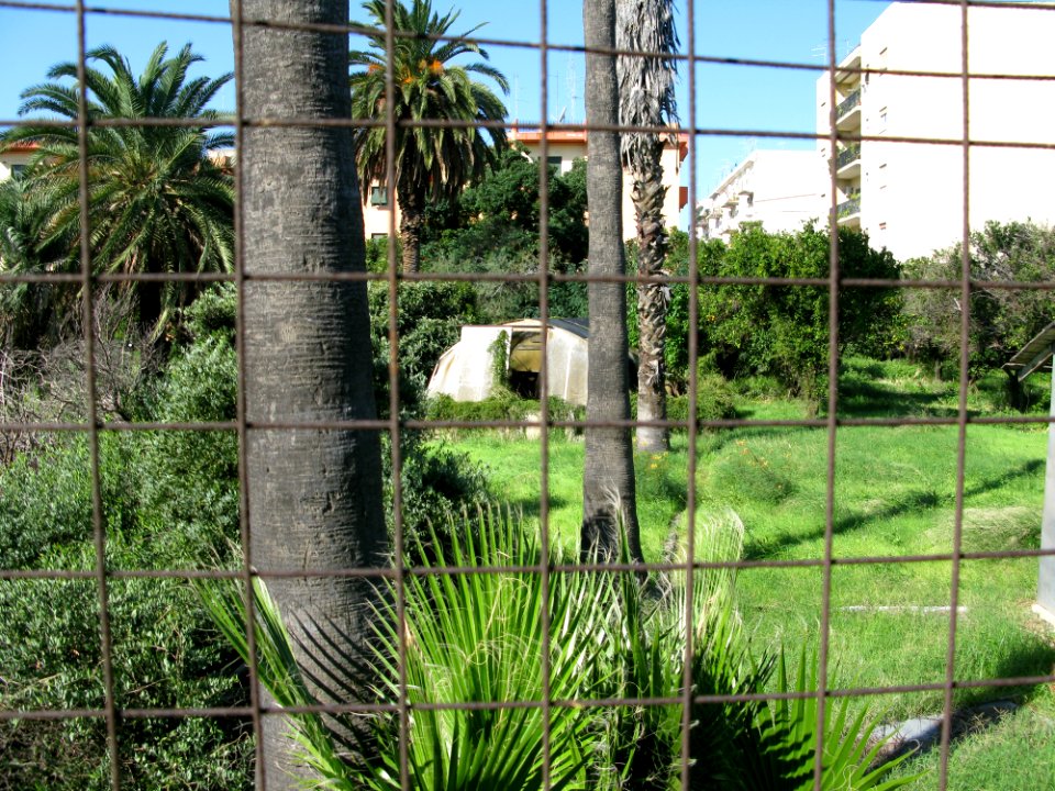 Campo Sperimentale della Stazione Sperimentale Industrie Essenze e Derivati Agrumi (SSEA) - Reggio Calabria, Italy - 7 Oct. 2009 - (9)