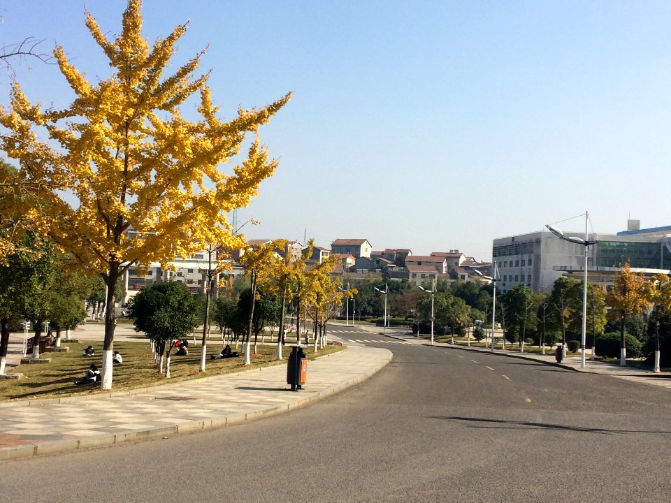 Campus road, Hunan Institute of Science and Technology