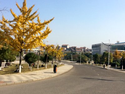 Campus road, Hunan Institute of Science and Technology