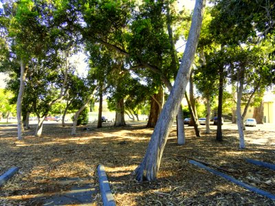 Campus parking lot - Naval Postgraduate School - DSC06818