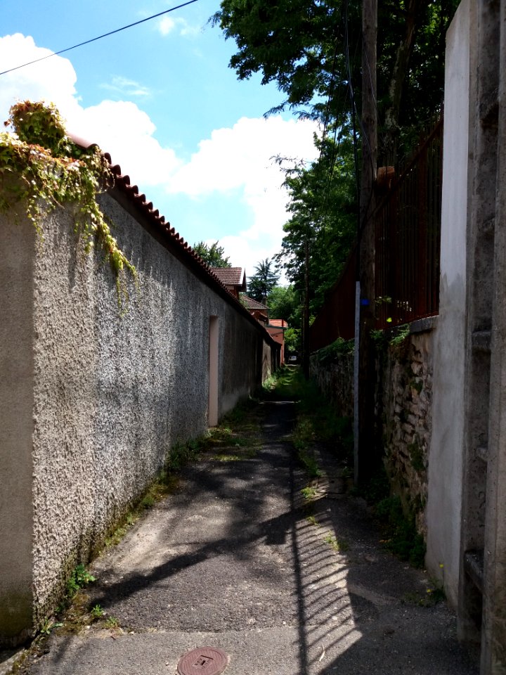 Caluire-et-Cuire - Allée du Petit Versailles, partie ouest, depuis la montée du Petit Versailles