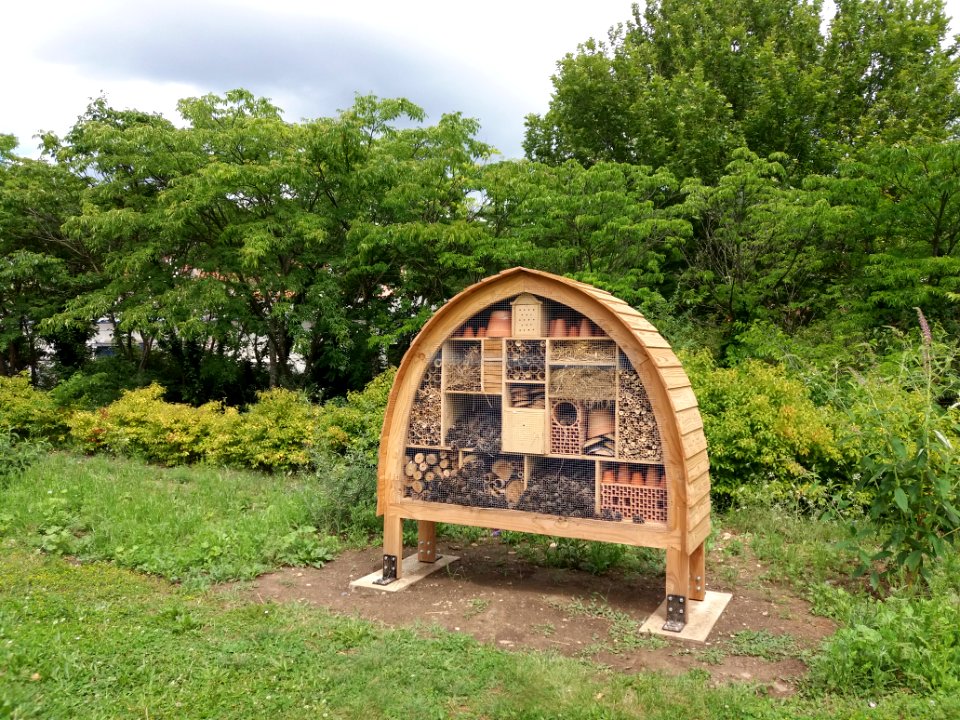 Caluire-et-Cuire - Parc des Berges de Saint-Clair - Maison à insectes
