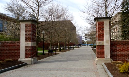 Campus view walkway towards Commons at the University of Rochester photo