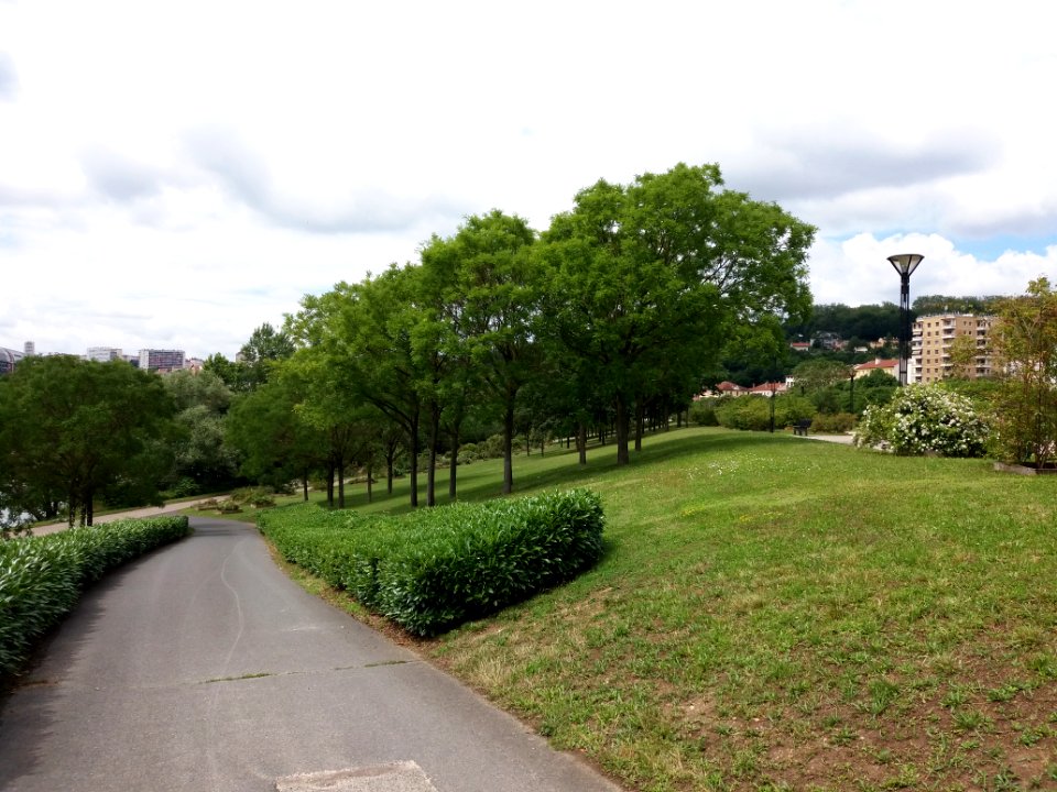 Caluire-et-Cuire - Parc des Berges de Saint-Clair - Arbres