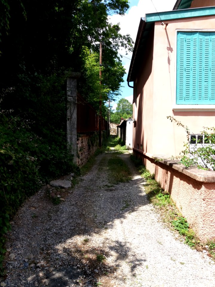 Caluire-et-Cuire - Allée du Petit Versailles, partie ouest, en allant vers la montée du Petit Versailles