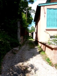 Caluire-et-Cuire - Allée du Petit Versailles, partie ouest, en allant vers la montée du Petit Versailles