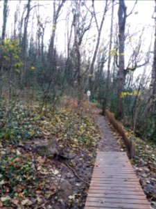 Caluire-et-Cuire - Bois de la Caille - Petit pont passant par-dessus la source