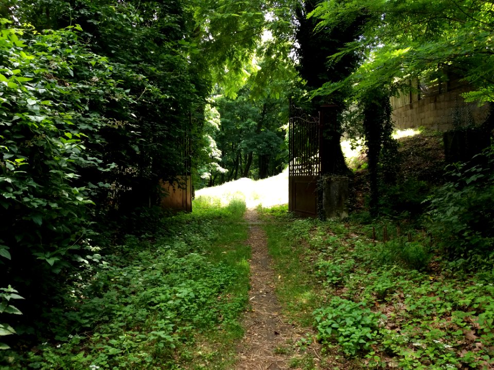 Caluire-et-Cuire - Chemin entre les rues de Margnolles et Abbé Lemire, portail côté rue de Margnolles