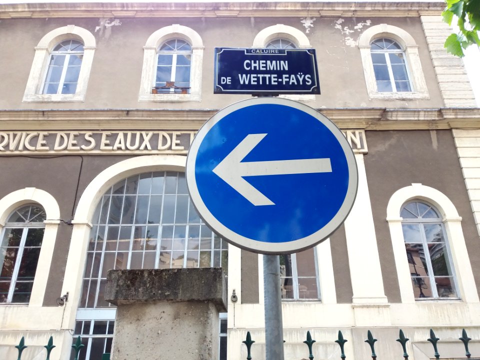 Caluire-et-Cuire - Chemin de Wette-Faÿs, plaque