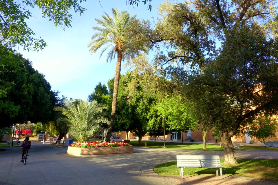 Campus view - Arizona State University - Tempe, AZ - DSC05933