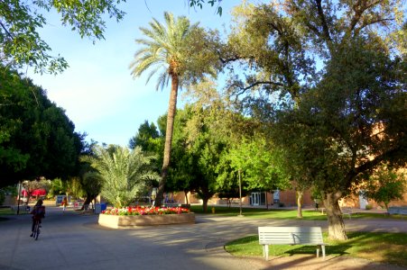 Campus view - Arizona State University - Tempe, AZ - DSC05933
