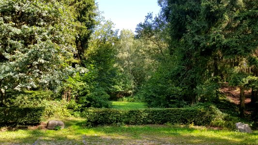 Camerig-picknickplaats Vijlenerbos bij Groenenweg (1)