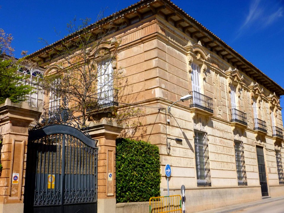 Campo de Criptana 01