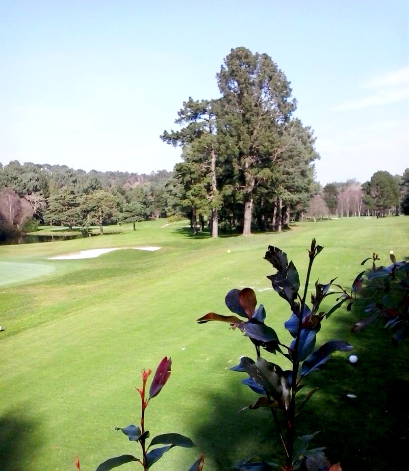 Campo de golf da Zapateira A Coruña