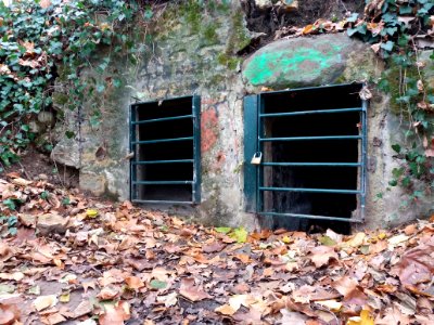 Caluire-et-Cuire - Bois de la Caille - Passage de la source