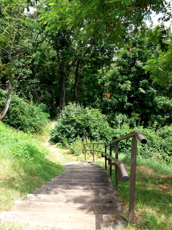 Caluire-et-Cuire - Chemin entre les rues de Margnolles et Abbé Lemire, escalier descendant