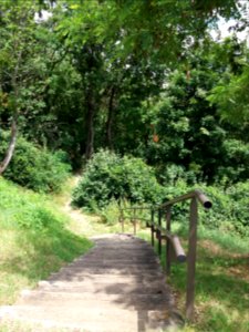 Caluire-et-Cuire - Chemin entre les rues de Margnolles et Abbé Lemire, escalier descendant