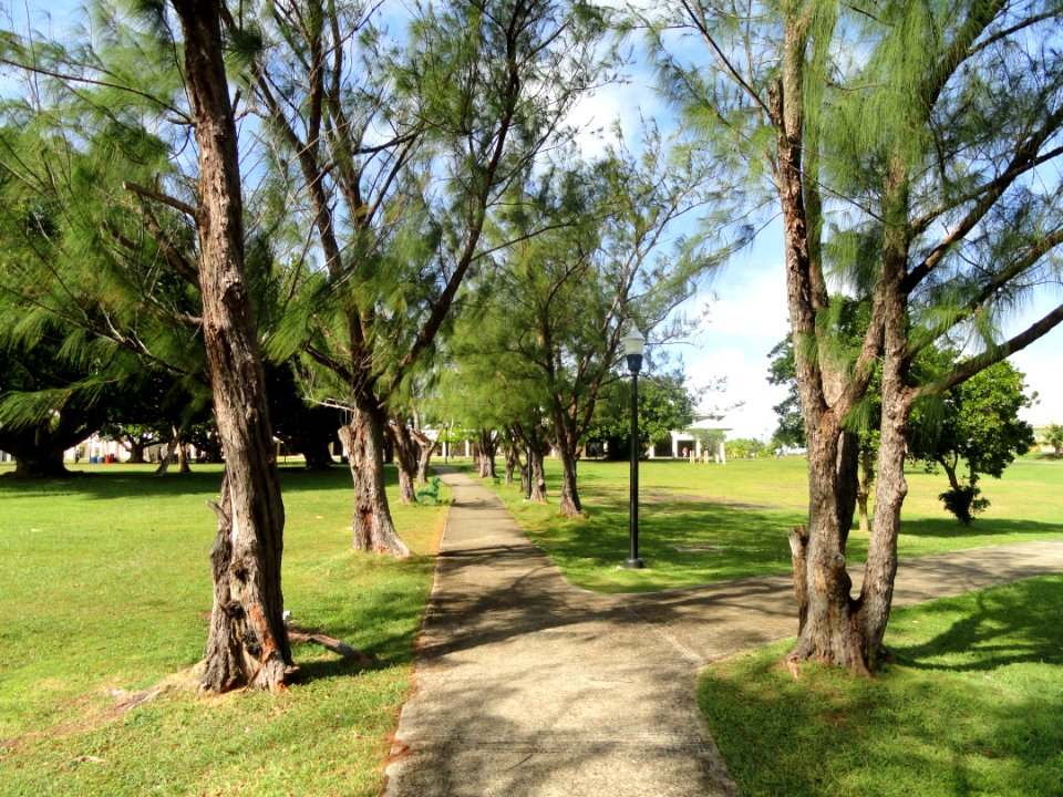 Campus view - University of Guam - DSC00995
