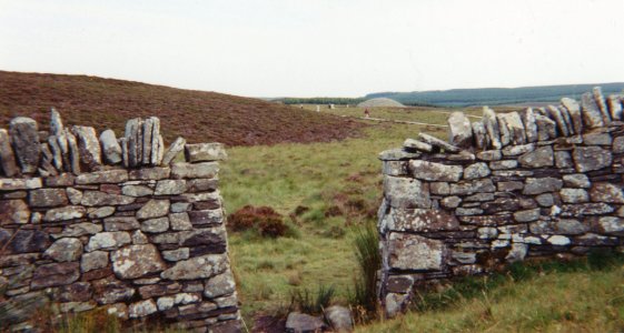Camster Cairns 2000-2-stone wall photo