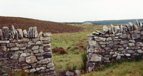 Camster Cairns 2000-2-stone wall