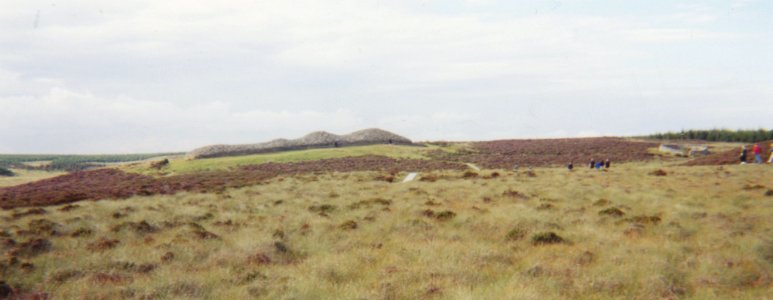 Camster Cairns 2000-1-distant cairns