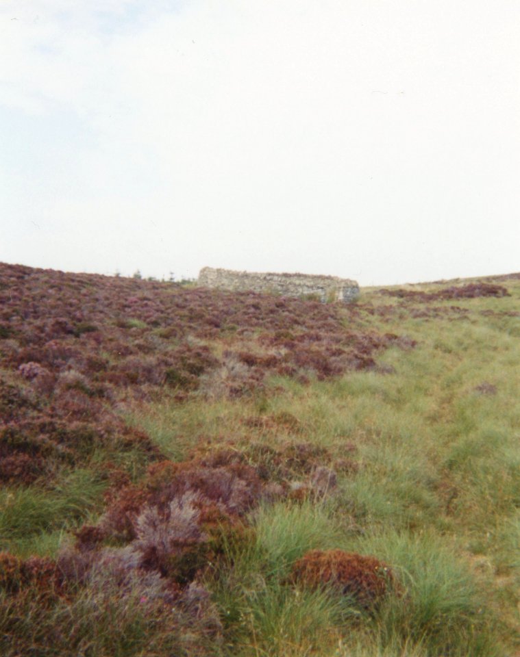 Camster Cairns 2000-4-small cairn