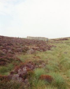 Camster Cairns 2000-4-small cairn