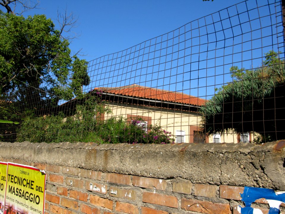 Campo Sperimentale della Stazione Sperimentale Industrie Essenze e Derivati Agrumi (SSEA) - Reggio Calabria, Italy - 7 Oct. 2009 - (18)