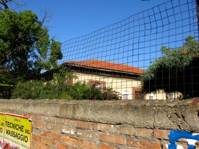 Campo Sperimentale della Stazione Sperimentale Industrie Essenze e Derivati Agrumi (SSEA) - Reggio Calabria, Italy - 7 Oct. 2009 - (18)