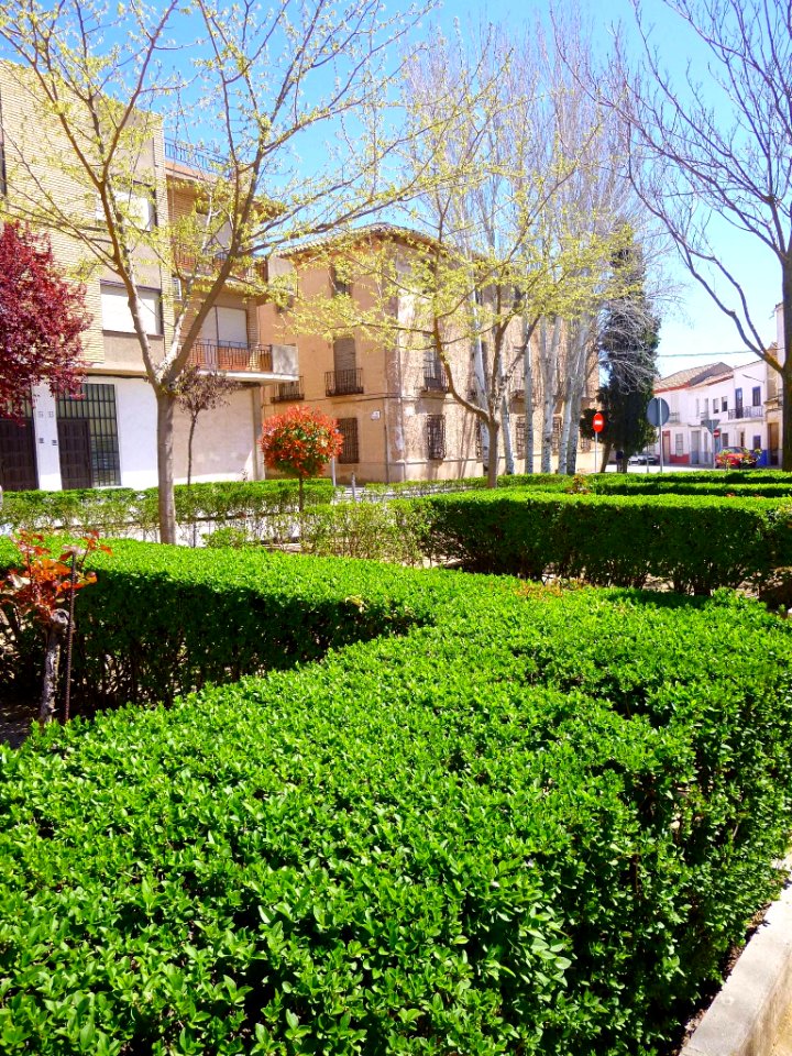 Campo de Criptana 12