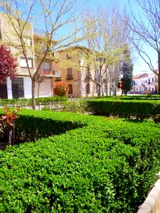 Campo de Criptana 12